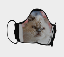 Serious Cat Face Mask ealanta