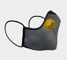 Dandy Face Mask ealanta