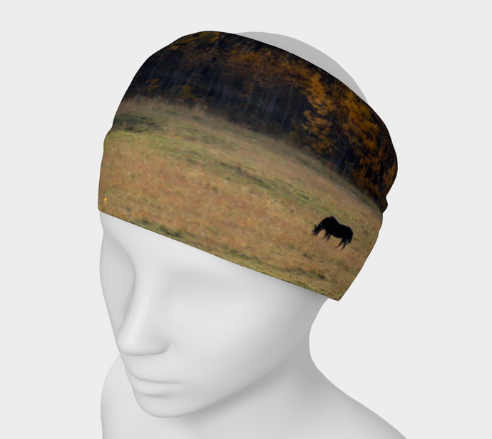Alberta Grazing Horses ealanta Headband
